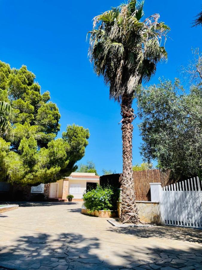 Villa Con Piscina Gigante Sant Francesc de s'Estany ภายนอก รูปภาพ