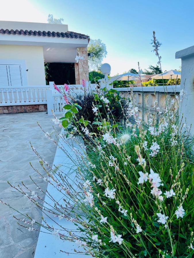 Villa Con Piscina Gigante Sant Francesc de s'Estany ภายนอก รูปภาพ